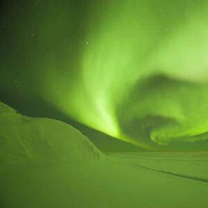 Northern lights / Aurora borealis glowing brightly over the frozen eastern Beaufort Sea