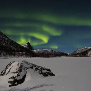 Northern lights (Aurora borealis) over Senja, Norway. February Northern lights (Aurora borealis) over Senja, Norway. February