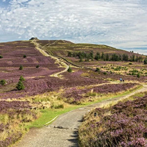 Offas Dyke path leading to the summit of Moel Famau in the Clwydian Mountain Range