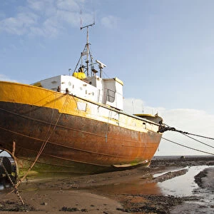 Old fishing boat held upright at low tide with ropes and chains, Roa Island, Morecambe Bay