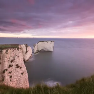 Les Rochers d'Old Harry à l'aube, regardant vers l'île de Wight, Studland, Dorset, Angleterre, Royaume-Uni. Les Rochers d'Old Harry à l'aube, regardant vers l'île de Wight, Studland, Dorset, Angleterre, Royaume-Uni.