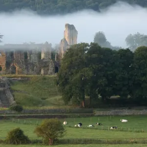 Old Sherborne Castle Print, Dorset England