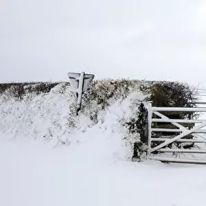 Panoramic view of a hedge and field gate after snowfall, near Bradworthy, Devon, UK