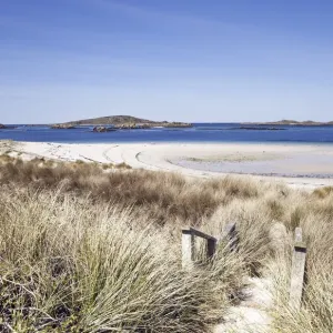 Path leading down to Blockhouse Beach, Tresco, Isles of Scilly, Cornwall, England