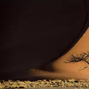 Patterns of shadows and light on sand dunes, Sossusvlei, Namib-Naukluft National Park