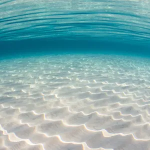 Sunlit Seabed Print: Shallow Sandy Bottom in North Sound, Grand Cayman Sunlit Seabed Print: Shallow Sandy Bottom in North Sound, Grand Cayman