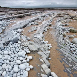 Pebbles on Nash Point, Monknash Coast, Vale of Glamorgan, Wales, UK, June 2006