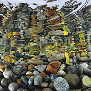 Pebbles reflected in the water surface at mouth of Sheryldy river, Lake Baikal, Siberia, Russia