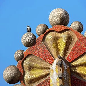 Peregrine falcon (Falco peregrinus) perched on top of mosaic tower, Sagrada Familia Basilica, Barcelona, Spain. April