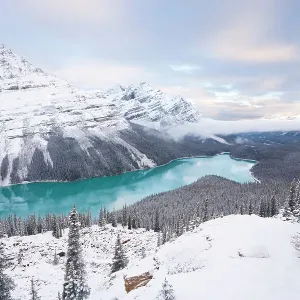 Peyto Lake Glacial Silt Print Peyto Lake Glacial Silt Print