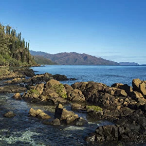 Porc Epic Peninsula, Southern Lagoon, Forgotten Coast, Lagoons of New Caledonia: Reef Diversity