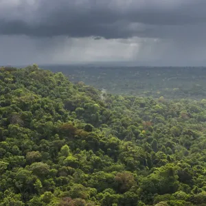 Rainstorm Print over Essequibo River Rainforest, Guyana Rainstorm Print over Essequibo River Rainforest, Guyana