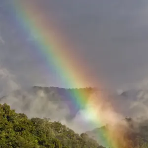 Rainbow over cloud forest, Cosanga, Napo, Ecuador, May 2014 Rainbow over cloud forest, Cosanga, Napo, Ecuador, May 2014