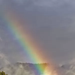 Rainbow over cloud forest, Cosanga, Napo, Ecuador, May 2014