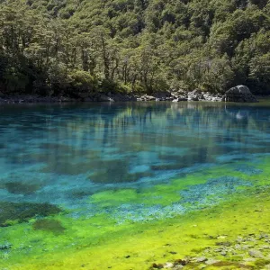 Rangimairewhenua Blue Lake Print Rangimairewhenua Blue Lake Print