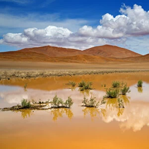 Recent rain forming temporary pool, Sossusvlei, Namib-Naukluft National Park, Namib Desert