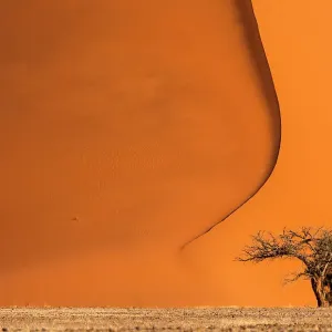 Red dunes of Sossusvlei, Namib Desert, Namibia Red dunes of Sossusvlei, Namib Desert, Namibia