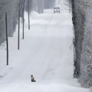 Images Dated 2010 December: 26 Dec 2010