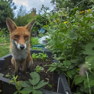 Images Dated 2018 May: 30 May 2018