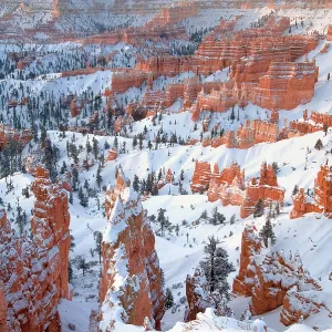 Red rock hoodoos and sandstone formations in high altitude forest with a clearing winter storm at sunrise, viewed from Sunset Point, Bryce Canyon National Park, Utah, USA