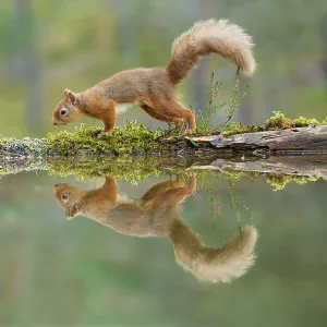 Images Dated 2011 November: 10 Nov 2011