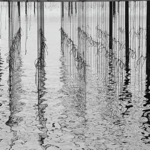 Reflections in water at mussel farm in the bay of Fos-sur-Mer, Camargue, France, September Reflections in water at mussel farm in the bay of Fos-sur-Mer, Camargue, France, September