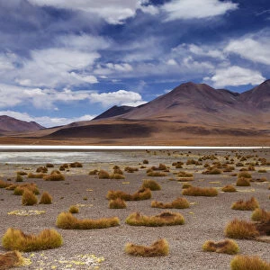 The remote region of high desert, altiplano and volcanoes near Tapaquilcha, Bolivia