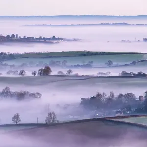 RF - Frosty and misty winter sunrise from Pilsdon Pen, looking across Marshwood Vale. Dorset, UK. January. (This image may be licensed either as rights managed or royalty free) RF - Frosty and misty winter sunrise from Pilsdon Pen, looking across Marshwood Vale. Dorset, UK. January. (This image may be licensed either as rights managed or royalty free)