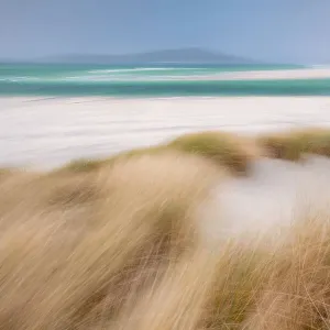 RF - Sand dunes with Marram grass (Ammophila arenaria) and beach at Seilebost beach, Isle of Harris, Scotland, UK. October