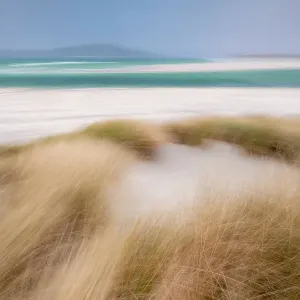 Seilebost Beach Print: Marram Grass and Sand Dunes Seilebost Beach Print: Marram Grass and Sand Dunes