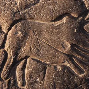 Rhinoceros Rock Art Print, Sahara Desert Scene Rhinoceros Rock Art Print, Sahara Desert Scene