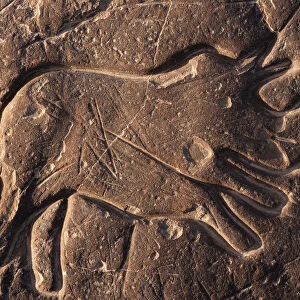 Rhinoceros rock art, Sahara desert, Ait Ouaazik, Southern Morocco, Africa