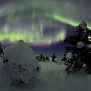 Riisitunturi in winter with Aurora Borealis, Kuusamo, Lapland, Finland. February