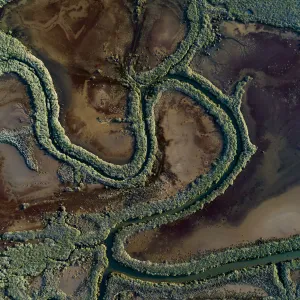 RioTinto tidal area and saltmarshes, with healthy vegetation