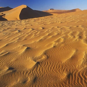 Ripples in the sand dunes, Namib-Naukluft NP, Namib desert, Namibia