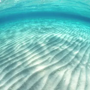 Ondeggiamenti nella sabbia di un banco di sabbia poco profondo in acque cristalline. Stingray City Sandbar, Grand Cayman, Isole Cayman, Indie Occidentali Britanniche, Mar dei Caraibi. Ondeggiamenti nella sabbia di un banco di sabbia poco profondo in acque cristalline. Stingray City Sandbar, Grand Cayman, Isole Cayman, Indie Occidentali Britanniche, Mar dei Caraibi.