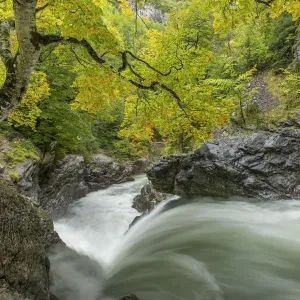 River Ara, Valle de Bujaruelo, Ordesa National Park, Spain. October 2019 River Ara, Valle de Bujaruelo, Ordesa National Park, Spain. October 2019