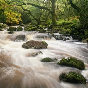 River Plym flowing fast through Dewerstone Wood, Shaugh Prior, Dartmoor National Park