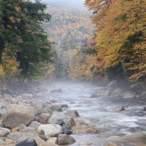 River running through misty autumn forest, White Mountain National Forest, New Hampshire River running through misty autumn forest, White Mountain National Forest, New Hampshire