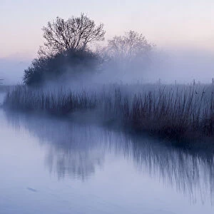 River Stour with early morning mist and frost, near Wimborne Minster, Dorset, UK. April 2012