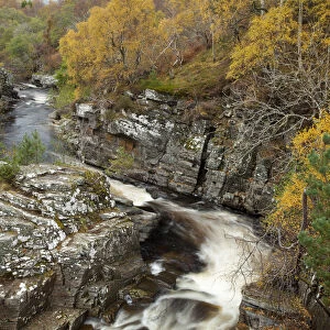 River Tromie running through autumnal woodland, Glenfeshie, Cairngorms NP, Scotland