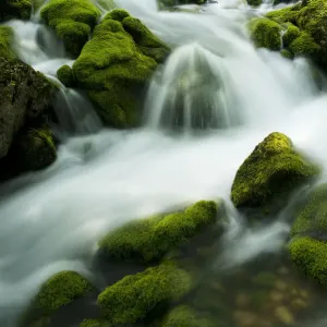 River Zadnjica cascading over moss covered stones, Triglav National Park, Slovenia River Zadnjica cascading over moss covered stones, Triglav National Park, Slovenia