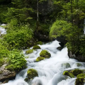 River Zadnjica, cascading past moss covered stones, Triglav National Park, Slovenia River Zadnjica, cascading past moss covered stones, Triglav National Park, Slovenia