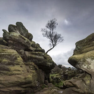 Rock formations at Brimham Rocks created by variable erosion of soft and hard layers