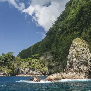 Rocks and coastal rainforest Print, Cocos Island National Park Rocks and coastal rainforest Print, Cocos Island National Park