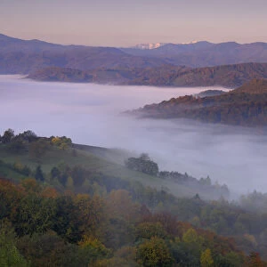 Rural landscape at dawn with low lying mist in valley, near Zarnesti, Transylvania
