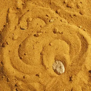 La víbora de arena del Sahara (Cerastes vipera) enterrándose en la arena para esconderse, cautiva. La víbora de arena del Sahara (Cerastes vipera) enterrándose en la arena para esconderse, cautiva.
