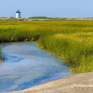 Erba di corda della laguna salata (Spartina alterniflora) sulla riva del Capo Cod, con Long Point. Erba di corda della laguna salata (Spartina alterniflora) sulla riva del Capo Cod, con Long Point.