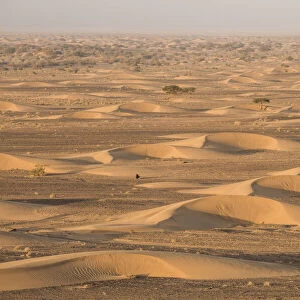 Sand dunes below the northern slopes of Djebel Ouarkziz, Sahara desert, Southern Morocco