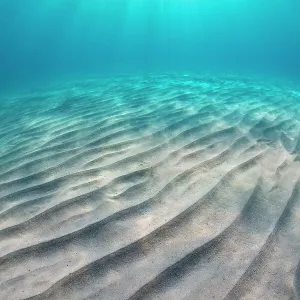 Riflessi di sabbia sul fondale e un raggio di sole in acqua bassa e cristallina. Capo Comino, Sardegna, Mar Mediterraneo. Riflessi di sabbia sul fondale e un raggio di sole in acqua bassa e cristallina. Capo Comino, Sardegna, Mar Mediterraneo.